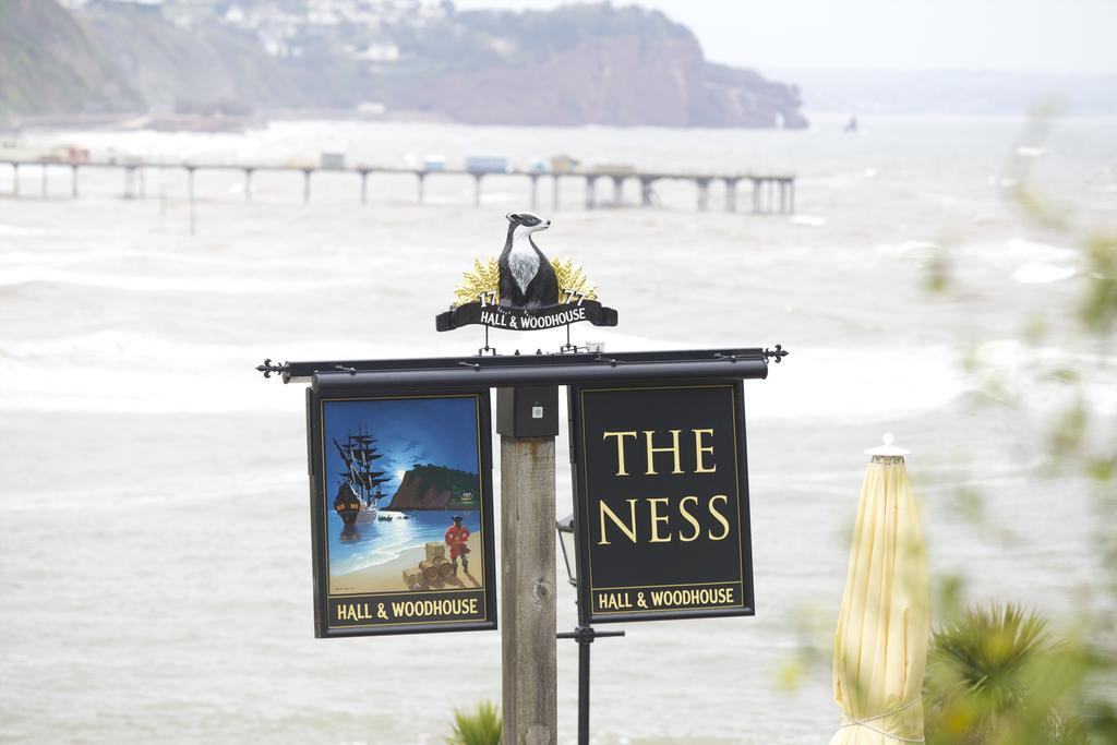 Bed and Breakfast The Ness Teignmouth Esterno foto
