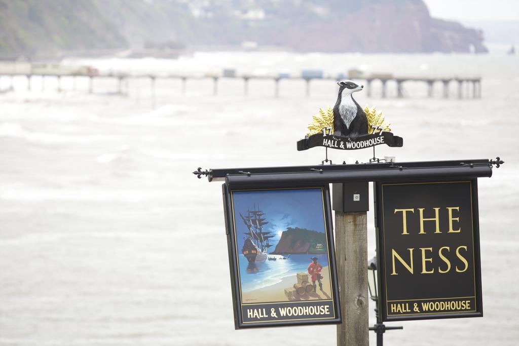 Bed and Breakfast The Ness Teignmouth Esterno foto